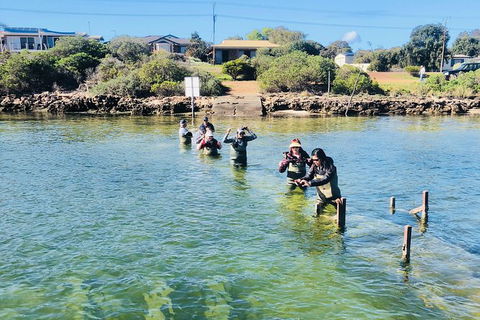 Oyster Farm And Tasting Tour With Hotel Pick-up And Return From Port Lincoln - Accommodation Directory 6