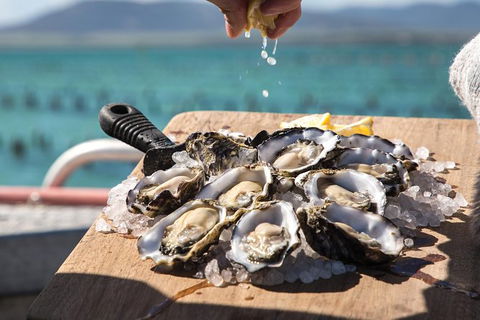 Experience Coffin Bay Short And Sweet Oyster Farm Tour - Accommodation Directory 0