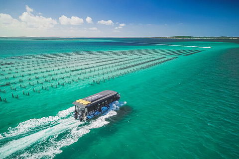 Experience Coffin Bay Short And Sweet Oyster Farm Tour - Accommodation Directory 2