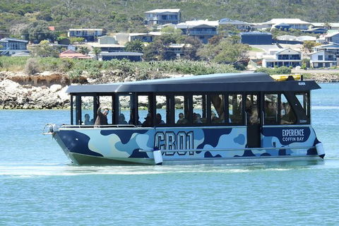 Experience Coffin Bay Short And Sweet Oyster Farm Tour - Accommodation Directory 9