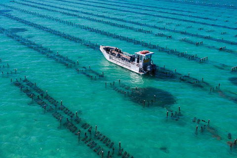 Experience Coffin Bay Short And Sweet Oyster Farm Tour - Accommodation Directory 7