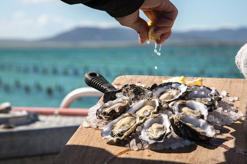 Experience Coffin Bay Oyster Farm And Bay Tour - Accommodation Directory 0