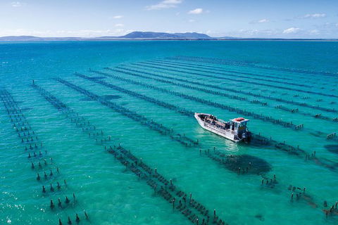 Experience Coffin Bay Oyster Farm And Bay Tour - Accommodation Directory 1