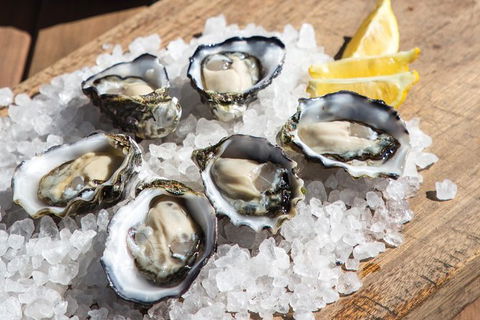 Experience Coffin Bay Oyster Farm And Bay Tour - Accommodation Directory 3