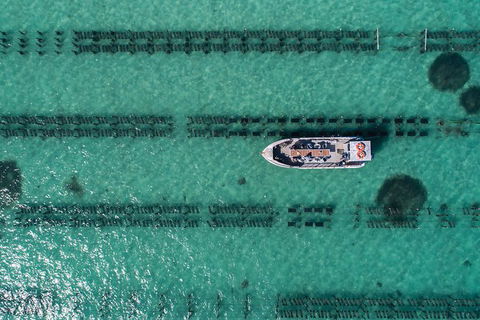 Experience Coffin Bay Oyster Farm And Bay Tour - Accommodation Directory 4