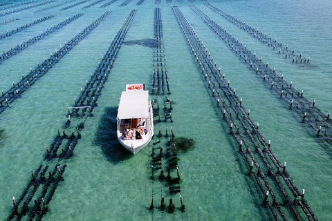 Experience Coffin Bay Oyster Farm And Bay Tour - Accommodation Directory 8