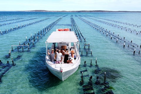 Experience Coffin Bay Oyster Farm And Bay Tour - Accommodation Directory 12