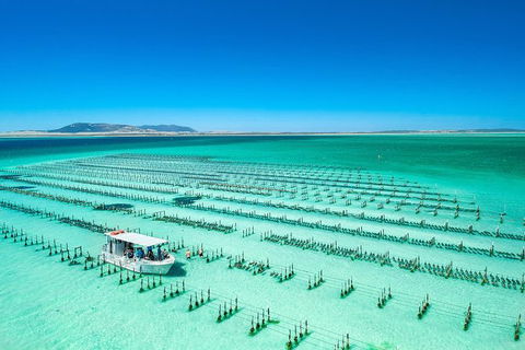 Experience Coffin Bay Oyster Farm And Bay Tour - Accommodation Directory 7