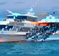 Poseidon Outer Great Barrier Reef Snorkeling and Diving Cruise from Port Douglas - Accommodation Directory