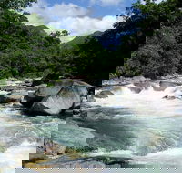 Daintree Rainforest Cape Tribulation Mossman Gorge in a day - Accommodation Directory