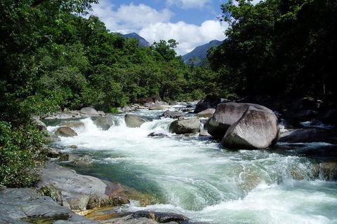 Daintree Rainforest, Cape Tribulation, Mossman Gorge In A Day - Accommodation Directory 0