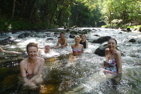 Daintree Rainforest, Cape Tribulation, Mossman Gorge In A Day - Accommodation Directory 10