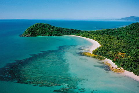 Daintree Rainforest, Cape Tribulation, Mossman Gorge In A Day - Accommodation Directory 6
