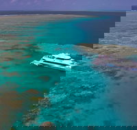 Silversonic Outer Great Barrier Reef Dive and Snorkel Cruise from Port Douglas - Accommodation Directory