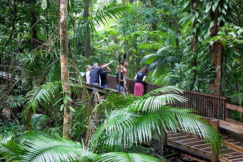 Full Day Daintree Rainforest And Mossman Gorge Tour - Accommodation Directory 0