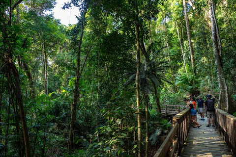 Full Day Daintree Rainforest And Mossman Gorge Tour - Accommodation Directory 10