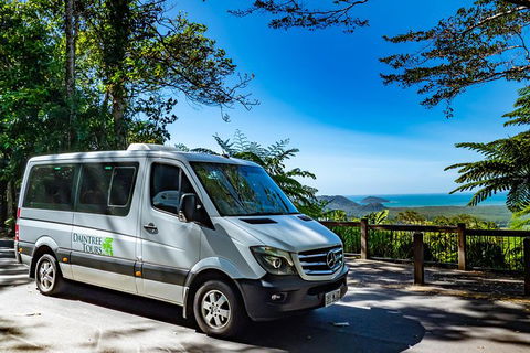 Full Day Daintree Rainforest And Mossman Gorge Tour - Accommodation Directory 6