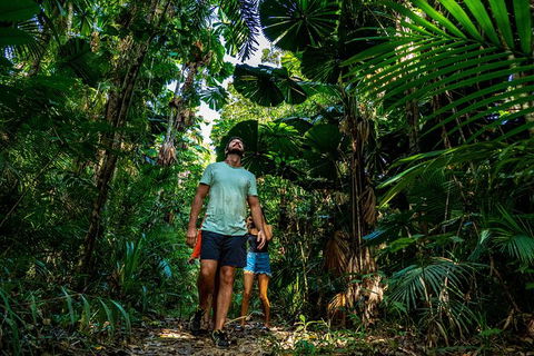 Full Day Daintree Rainforest And Mossman Gorge Tour - Accommodation Directory 12