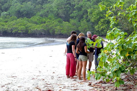 Full Day Daintree Rainforest And Mossman Gorge Tour - Accommodation Directory 7