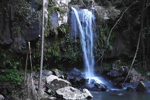 You Choose The Tour: Brisbane Private Chauffeur Driven Personal Tour - Accommodation Directory 0