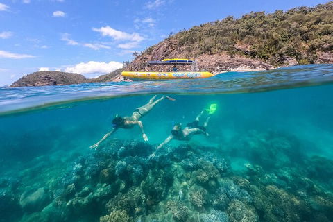 Ocean Rafting Tour To Whitehaven Beach, Hill Inlet Lookout & Top Snorkel Spots - Accommodation Directory 16