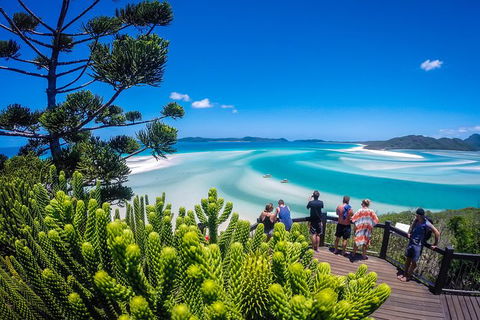 Ocean Rafting Tour To Whitehaven Beach, Hill Inlet Lookout & Top Snorkel Spots - Accommodation Directory 19