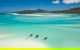 Ocean Rafting Tour To Whitehaven Beach, Hill Inlet Lookout & Top Snorkel Spots - thumb 25