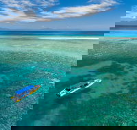 Ocean Safari Great Barrier Reef Experience in Cape Tribulation - Accommodation Directory