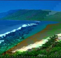 Cairns Reef and Rainforest Combo Daintree Rainforest and the Great Barrier Reef - Accommodation Directory