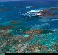 Quicksilver Outer Great Barrier Reef Snorkel Cruise from Port Douglas - Accommodation Directory