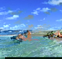Horse Swimming Ride from Rainbow Beach - Accommodation Directory