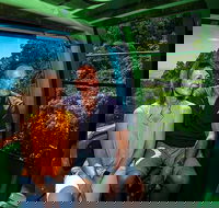 Skyrail Rainforest Cableway Day Trip from Palm Cove - Accommodation Directory