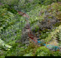 Kuranda Scenic Railway Day Trip from Port Douglas - Accommodation Directory