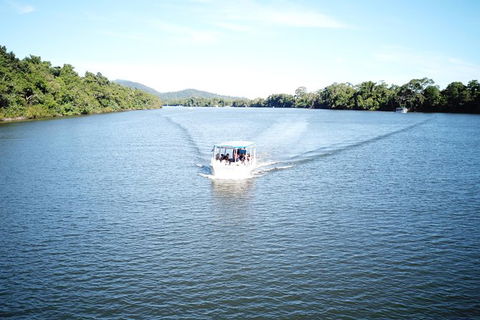 1-Hour Daintree River Wildlife Cruise - Accommodation Directory 9