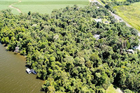 1-Hour Daintree River Wildlife Cruise - Accommodation Directory 5