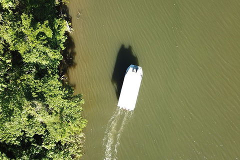 1-Hour Daintree River Wildlife Cruise - Accommodation Directory 3