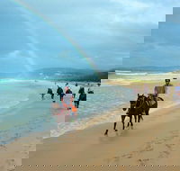 Rainbow Beach Horse Ride - Accommodation Directory