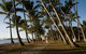 Port Douglas Round-Trip Transfer From Cairns With Free Time In Port Douglas - thumb 0