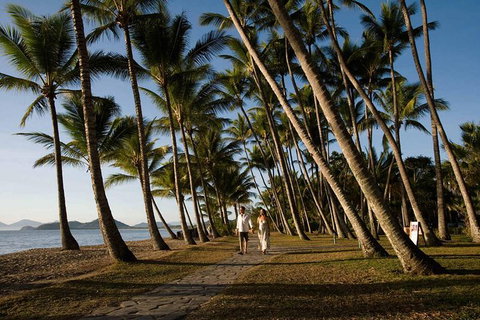 Port Douglas Round-Trip Transfer From Cairns With Free Time In Port Douglas - Accommodation Directory 0