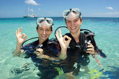 Ocean Spirit Michaelmas Cay Dive And Snorkel Cruise From Palm Cove - Accommodation Directory 0