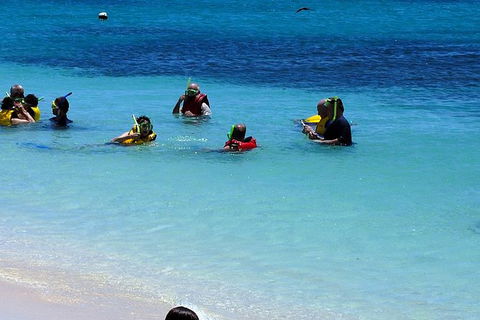 Ocean Spirit Michaelmas Cay Dive And Snorkel Cruise From Palm Cove - Accommodation Directory 1