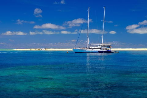 Ocean Spirit Michaelmas Cay Dive And Snorkel Cruise From Palm Cove - Accommodation Directory 3