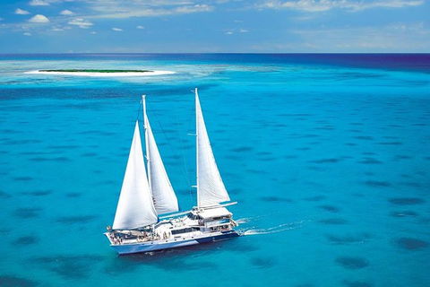 Ocean Spirit Michaelmas Cay Dive And Snorkel Cruise From Palm Cove - Accommodation Directory 8