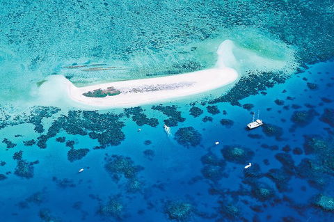 Ocean Spirit Michaelmas Cay Dive And Snorkel Cruise From Palm Cove - Accommodation Directory 7