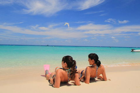 Ocean Spirit Michaelmas Cay Dive And Snorkel Cruise From Palm Cove - Accommodation Directory 2