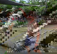 Hartley's Crocodile Adventures Day Trip from Cairns - Accommodation Directory