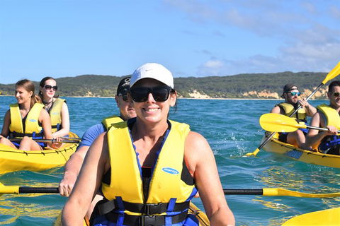 Half-Day Kayak With Dolphins And 4WD Beach Drive From Rainbow Beach - Accommodation Directory 4
