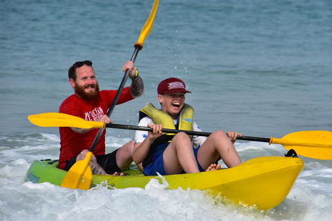 Half-Day Kayak With Dolphins And 4WD Beach Drive From Rainbow Beach - Accommodation Directory 8