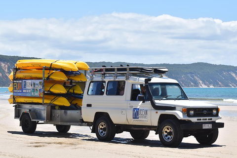 Half-Day Kayak With Dolphins And 4WD Beach Drive From Rainbow Beach - Accommodation Directory 13
