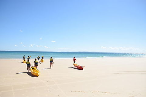 Half-Day Kayak With Dolphins And 4WD Beach Drive From Rainbow Beach - Accommodation Directory 10